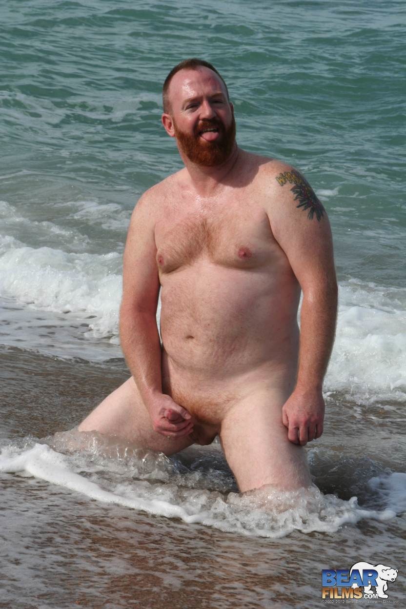 Amazing ginger bear Steve Ellis frolics on the beach